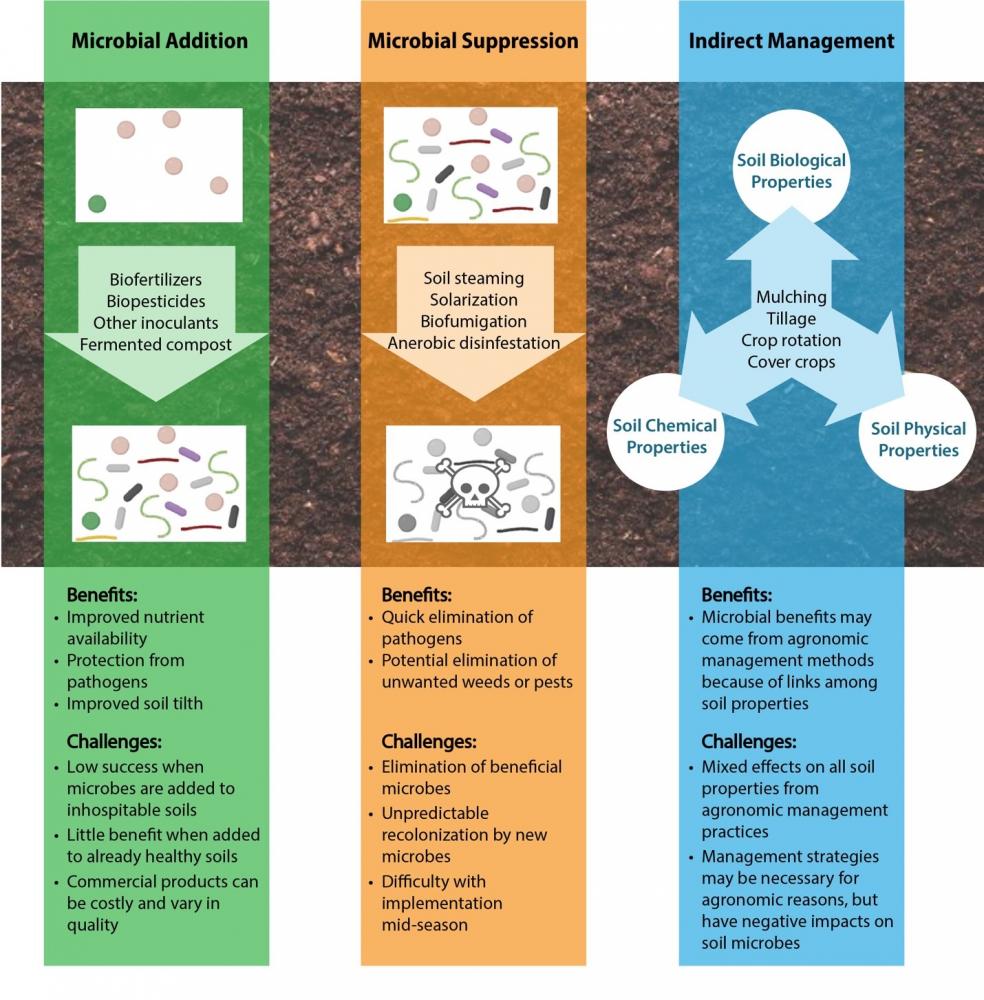 management-of-soil-microbes-on-organic-farms-eorganic